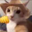 Tekagaste