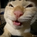 emoji_7 Discord Emoji - Ngôi nhà chút chít ᥫᩣ
