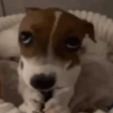 emoji_12 Discord Emoji - Ngôi nhà chút chít ᥫᩣ