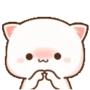 0307mochimochicats_flushed