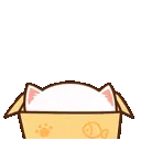 0322mochimochicats_box