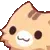 cat_pat