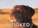 cooked