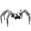 tick
