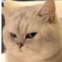 angrystare