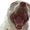 GodzillaScream
