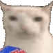 catchips Discord emoji