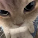 hep