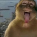 emoji_5 Discord sticker - Mehfil-e-Khaas