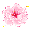 :cherry: