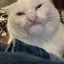 KikiAngry