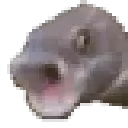 pogfish