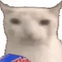 cat_chips