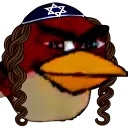 jewbirb