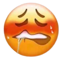 Z_sexybite