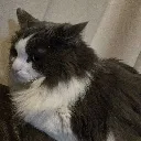 sideeye sideeye