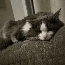 exhausted