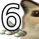 6_
