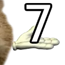 7_ 7_