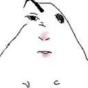 EyebrowRaise