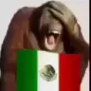 MexiGod