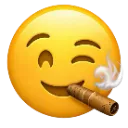 cigar