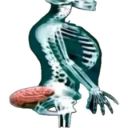 Me1 custom emote | Velocity