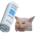 bonk