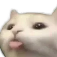 catblep