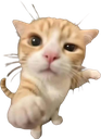 youuu_kitten Discord sticker | The GOON haunts me