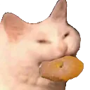 catcookie
