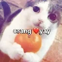 socew
