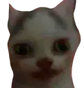 anguish