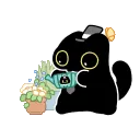 cat_klein_watering