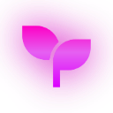 age custom emote from Robux Kingdom™ | Cheap Robux, Roblox Bundles & Limiteds