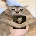 sil_cathug