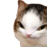 catsmirk