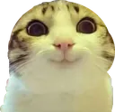 chatmignon