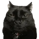 vroisnottuff vroisnottuff