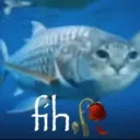 fih