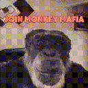 monkeymafia