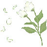 chkpnt_alt_whiteflowers