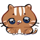 :meow: