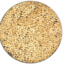 maza Discord Emoji - דושי גאנג