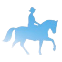 Caucus Discord Emoji - 𝗥𝗨𝗦𝗔 | 𝐔𝐧𝐢𝐭𝐞𝐝 𝐒𝐭𝐚𝐭𝐞𝐬 𝑜𝑓 𝐀𝐦𝐞𝐫𝐢𝐜𝐚