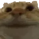catYes