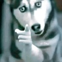 atn Discord Emoji - OmerTa Structure