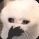 :cry: