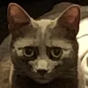 murder_stare