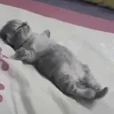 KennySchlumped KennySchlumped